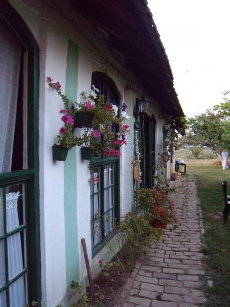 DSCN2951.jpg, 258 KB