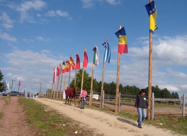 DSCN3068.jpg, 211 KB