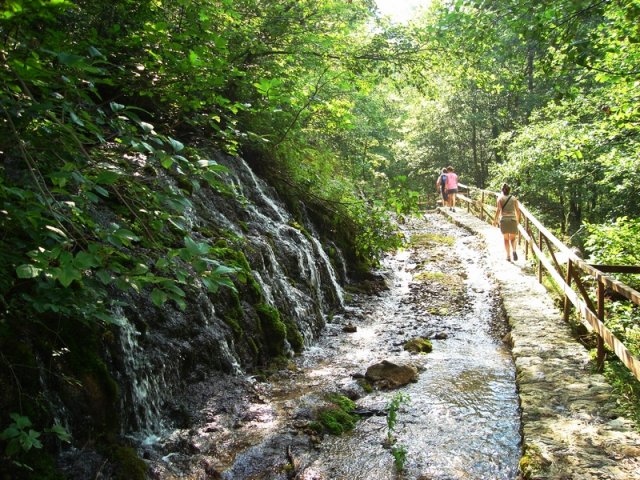 Izvor Ladjevac na Tari